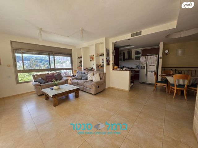 דירת גן, ורדיה, חיפה