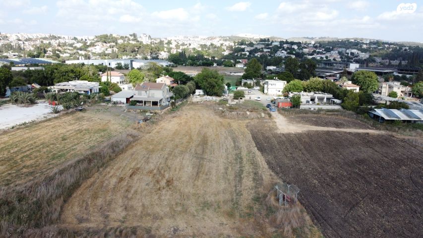 הפועל המזרחי 