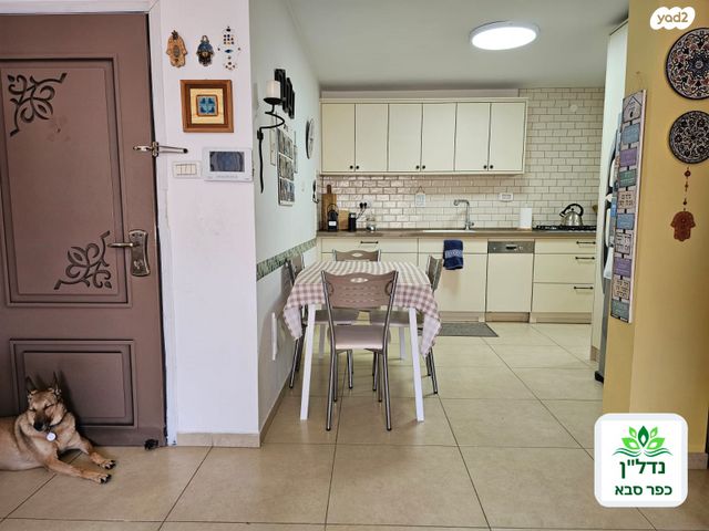 דירה, ארזים, ראשונים, כפר סבא