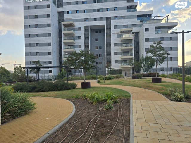 אלישע הנביא 24