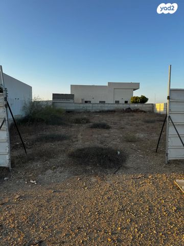 מגרשים, התמר, תאשור