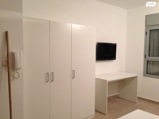 אלכסנדר ינאי 17