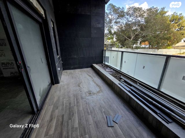 ראול ולנברג 33