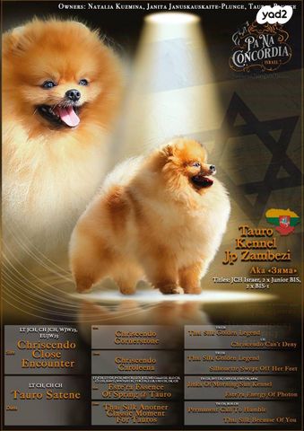תמונת מודעה - חיות מחמד