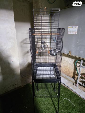 תמונת מודעה - חיות מחמד