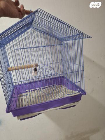 תמונת מודעה - חיות מחמד