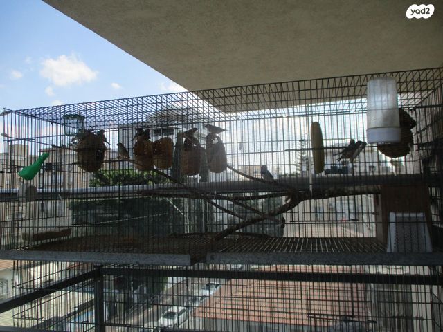 תמונת מודעה - חיות מחמד