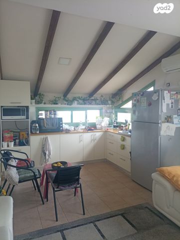 דירה, תמר 267, מעונה, מעונה