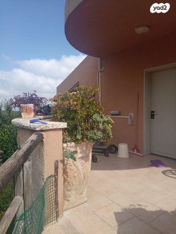 דירה, תמר 267, מעונה, מעונה