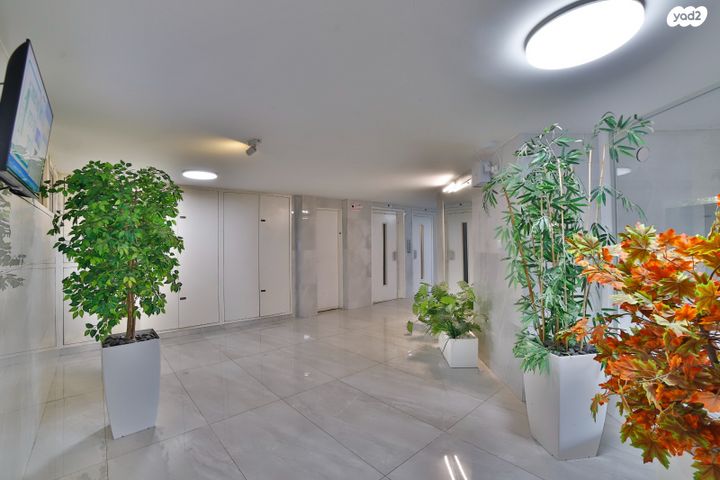 דירה, בן גוריון, חולון