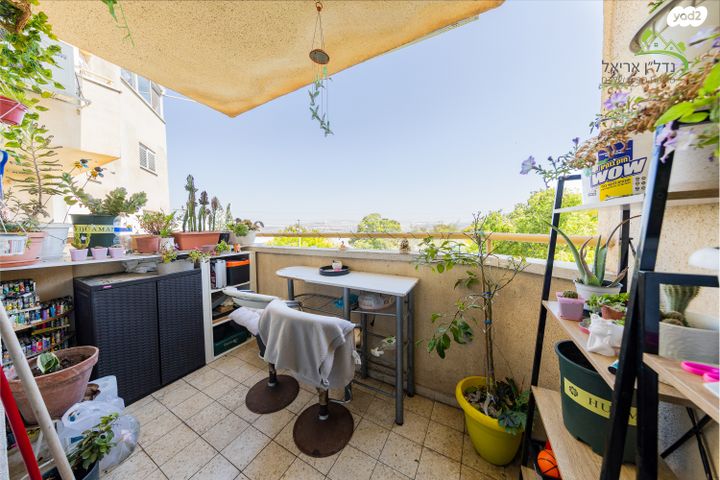 דירה, ששת הימים 2, אריאל