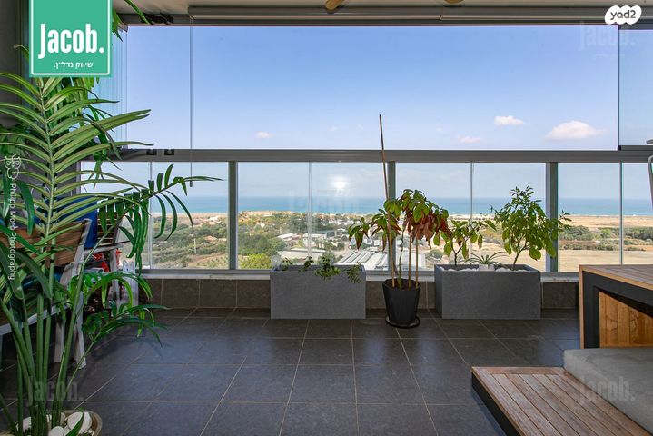 דירה, דולפין, גלי כרמל, טירת כרמל