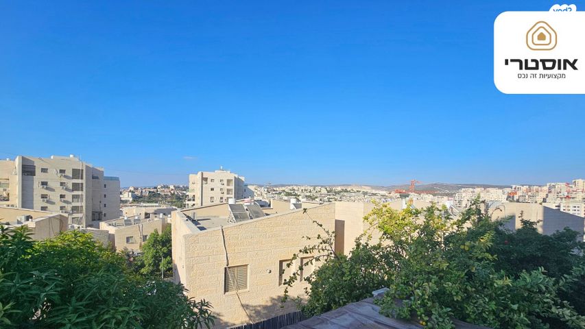 יונה בן אמיתי 15