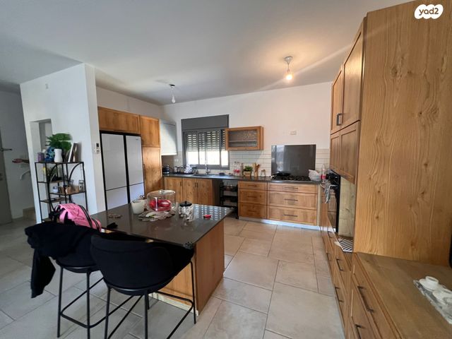 חורשת האקליפטוס 