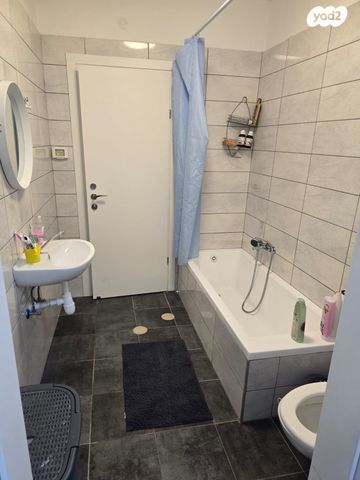 דירה, הרבי מלובאוויטש, דימונה