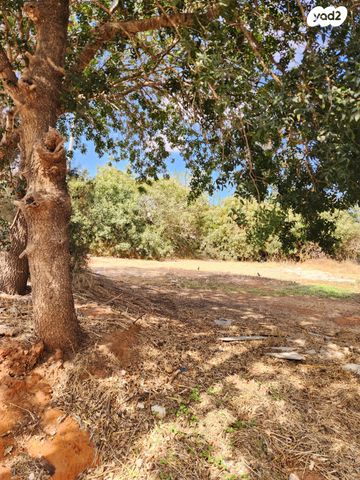 מגרשים, הבוטנים, פרדס חנה כרכור