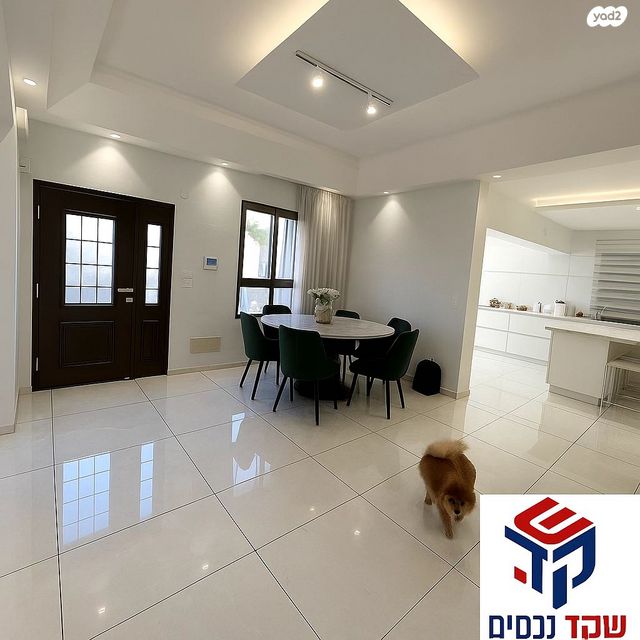 משה בילינסון 