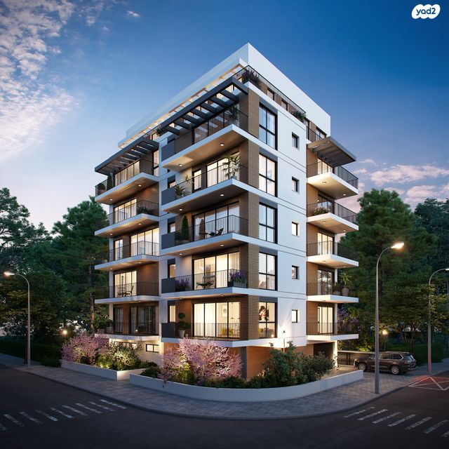 יהודה המכבי 