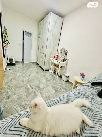 דו משפחתי, סעדיה גאון, העיר העתיקה - מזרח, רמלה