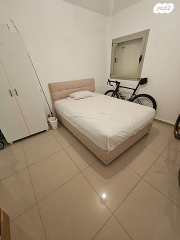 דירה, אשקלון