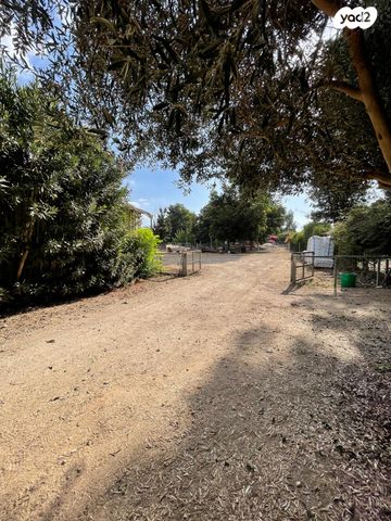 משק חקלאי/ נחלה, בני ציון