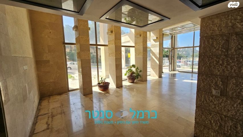 דירה, עמוס, נשר