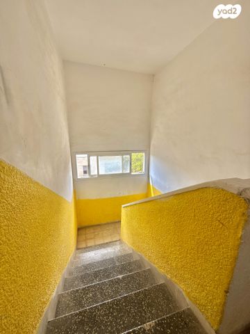 דירה, טיילת הספורט, מלכי ישראל, דימונה