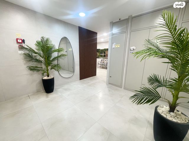 דירה, הרב אברהם קוק, השחר, דימונה