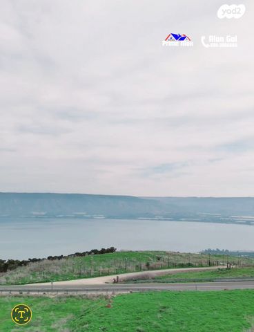 פוריה עילית