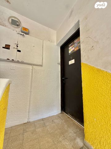 דירה, טיילת הספורט, מלכי ישראל, דימונה