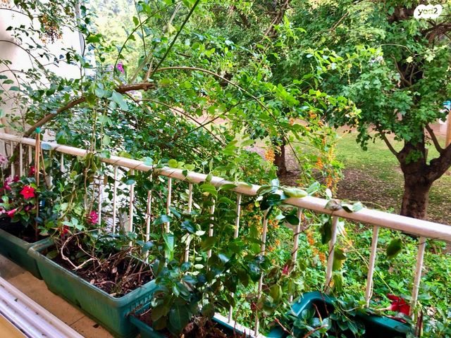 דירה, מעוז אביב, תל אביב יפו