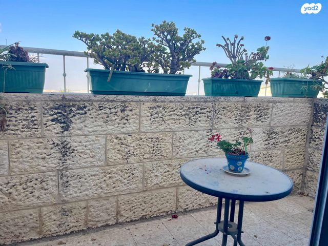 רינה ניקובה 