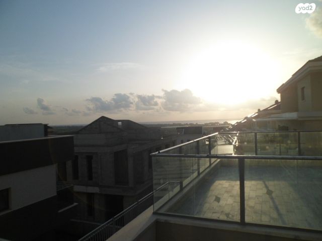 גג/ פנטהאוז, חורשת האקליפטוס, אדמית / יערית, שלומי