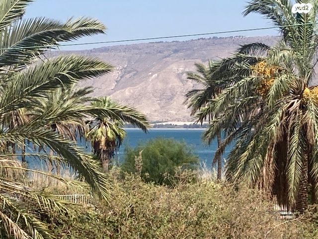 מגרשים, המייסדים, כינרת מושבה