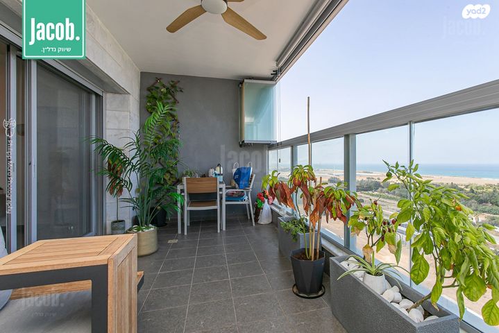 דירה, דולפין, גלי כרמל, טירת כרמל