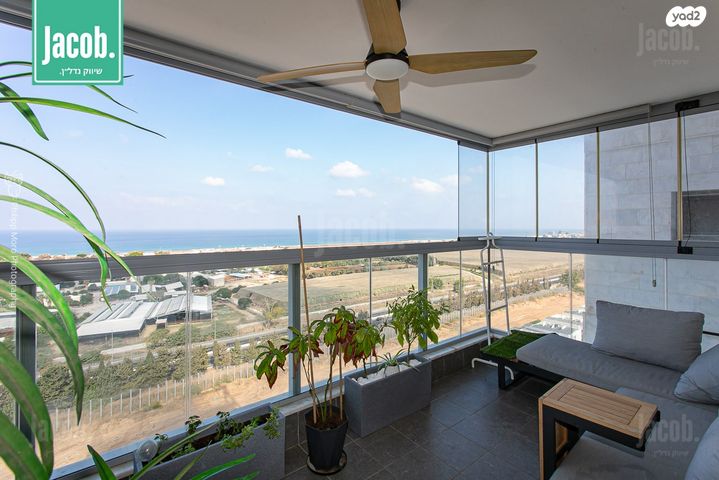 דירה, דולפין, גלי כרמל, טירת כרמל