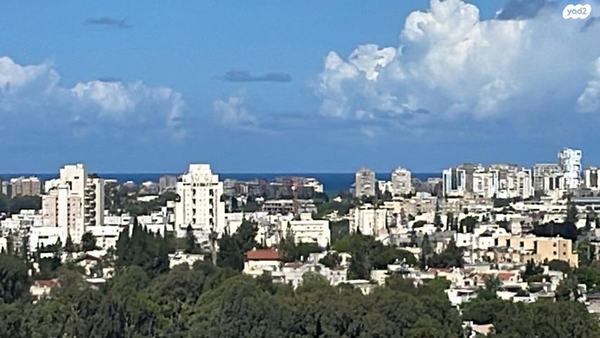 ראול ולנברג 33