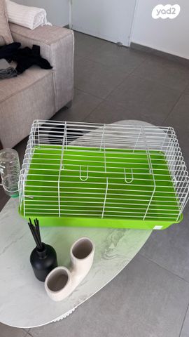 תמונת מודעה - חיות מחמד