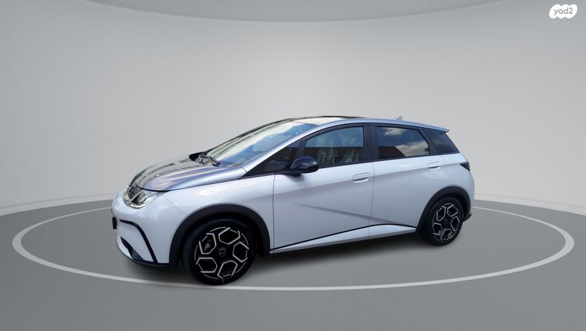 מודעת רכב בי.ווי.די דולפין