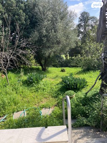 בית פרטי/ קוטג', איתמר בן אב"י 9, כפר אהרון הישנה, נס ציונה