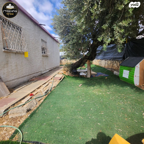 בית פרטי/ קוטג', מלחמת ששת הימים, כהן, טירת כרמל