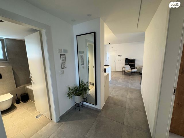 דירה, השחף, החותרים, טירת כרמל