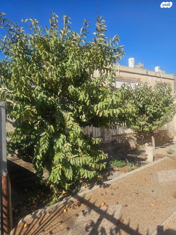 בית פרטי/ קוטג', נחמיה, שיכון ג, טבריה