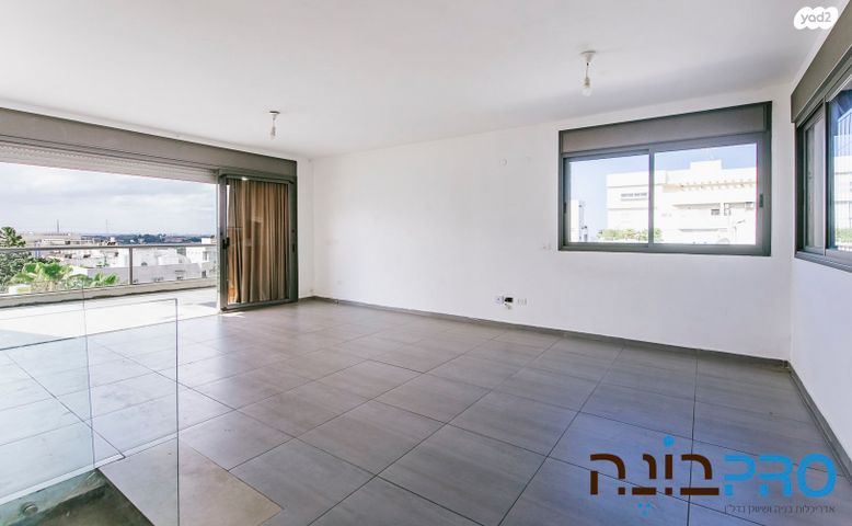 צבי הירשפלד 