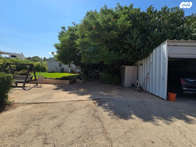 משק חקלאי/ נחלה, תומר