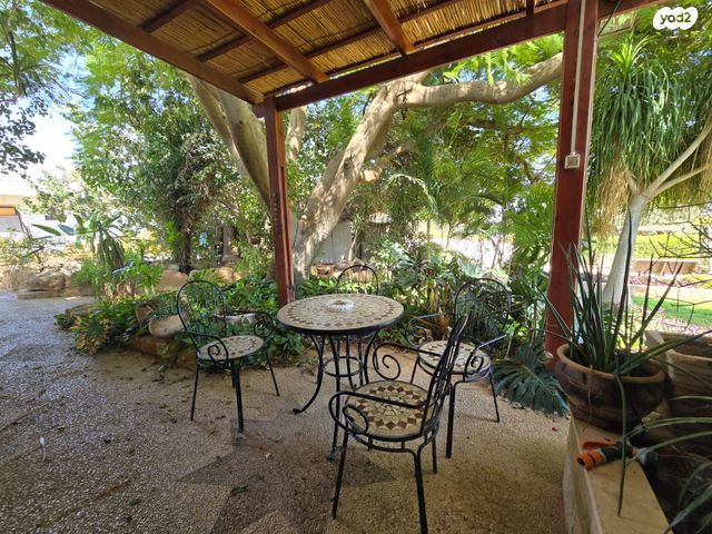 משק חקלאי/ נחלה, תומר