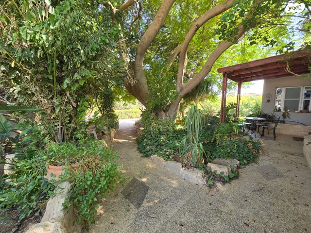 משק חקלאי/ נחלה, תומר