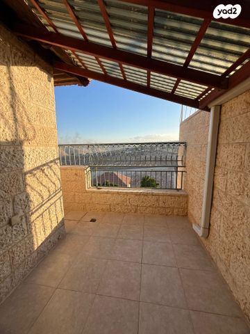 דופלקס, הדקל, צמח השדה, מעלה אדומים