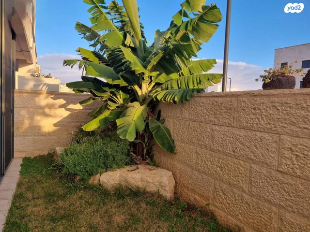 דירת גן, נרקיס 14, הפרחים, חריש