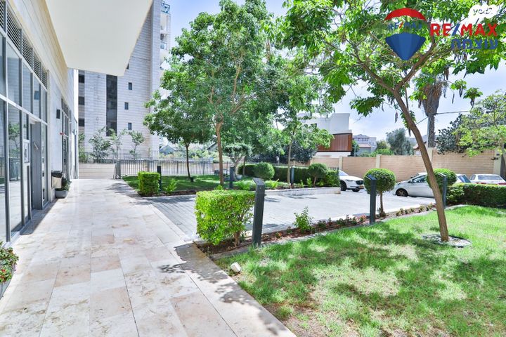 דירה, שלמה אלירז, רמב"ם, ראשון לציון